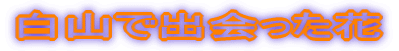 Rŏo