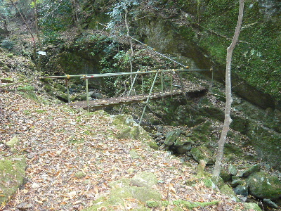 ȂS