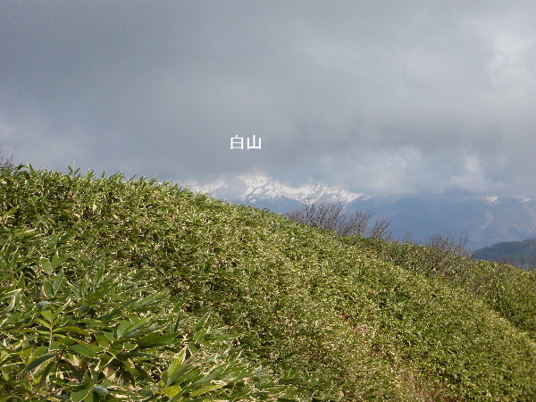 ォ̏ႵR