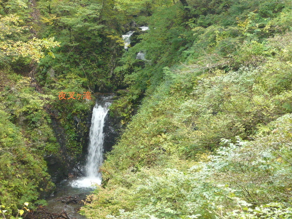 鍳