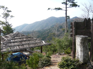 qR(520m)