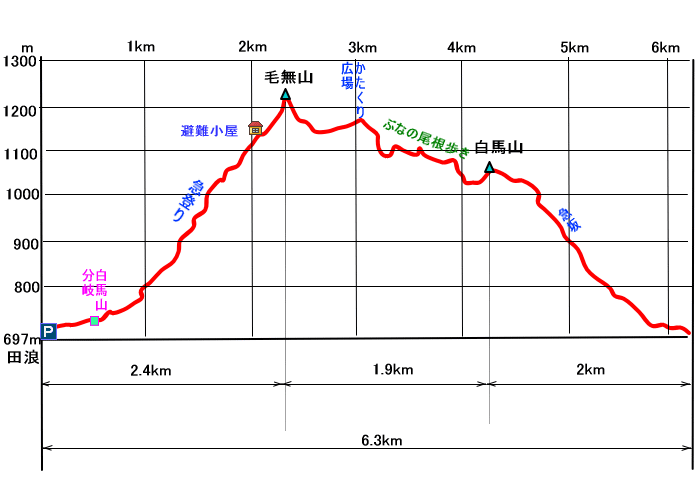 雪の毛無山