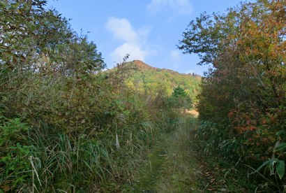 紅葉真っ盛り 扇ノ山