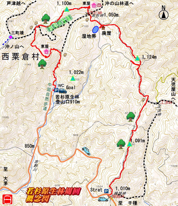 峰越峠から若杉原生林