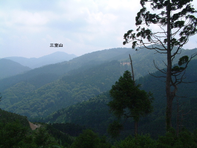 �Ő�����̎O���R