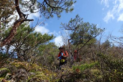 和気アルプス ザイデン／北稜ルート